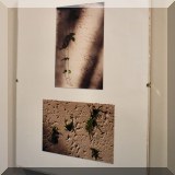 A25. Leaf photos.